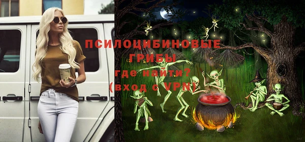 хмурый Вязьма