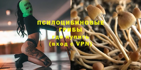 тгк Вязники