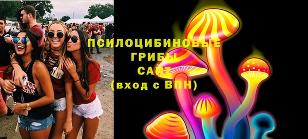 хмурый Вязьма