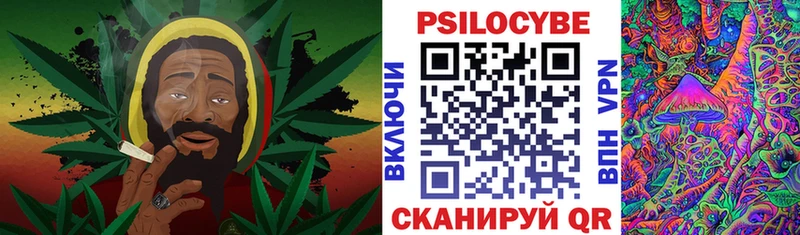 Псилоцибиновые грибы Cubensis Альметьевск